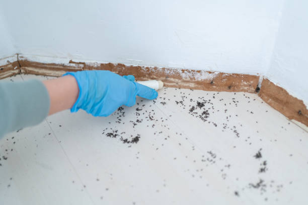 Best Pest Prevention Services  in Gateway, FL